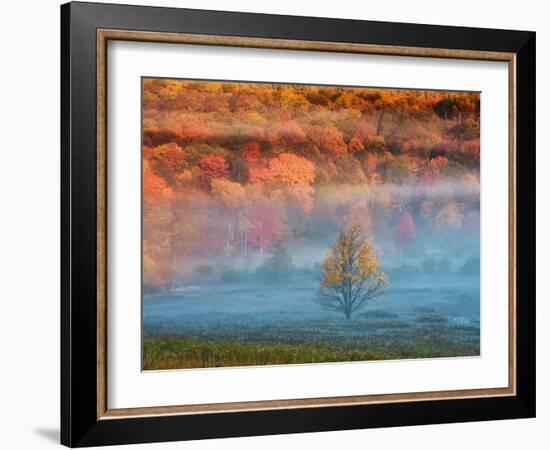 Misty Valley and Forest in Autumn, Davis, West Virginia, USA-Jay O'brien-Framed Photographic Print