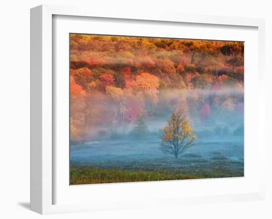 Misty Valley and Forest in Autumn, Davis, West Virginia, USA-Jay O'brien-Framed Photographic Print