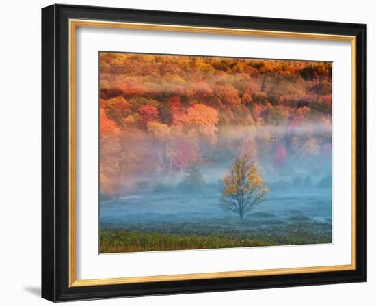 Misty Valley and Forest in Autumn, Davis, West Virginia, USA-Jay O'brien-Framed Photographic Print