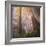 Misty Walk Into Del Norte Coast Redwoods (Square)-Vincent James-Framed Photographic Print