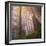 Misty Walk Into Del Norte Coast Redwoods (Square)-Vincent James-Framed Photographic Print