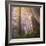 Misty Walk Into Del Norte Coast Redwoods (Square)-Vincent James-Framed Photographic Print