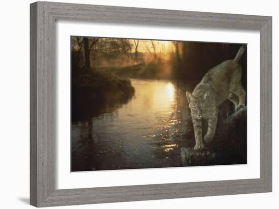 Misty Water Morn-Gordon Semmens-Framed Giclee Print