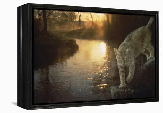 Misty Water Morn-Gordon Semmens-Framed Premier Image Canvas