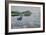 Misty Waters-Bruce Dumas-Framed Giclee Print