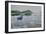 Misty Waters-Bruce Dumas-Framed Giclee Print