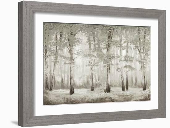 Misty Woodland Glow-Michael Marcon-Framed Art Print
