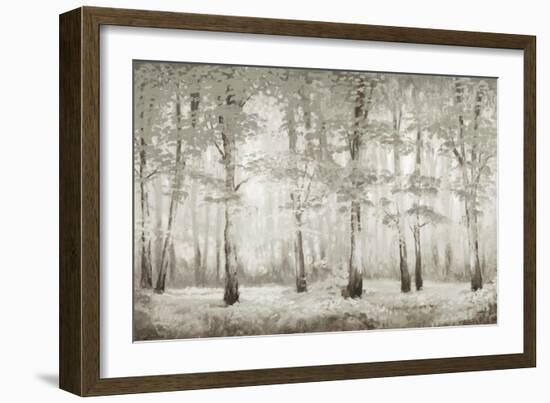 Misty Woodland Glow-Michael Marcon-Framed Art Print