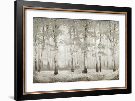 Misty Woodland Glow-Michael Marcon-Framed Art Print