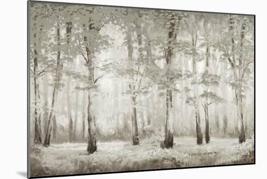 Misty Woodland Glow-Michael Marcon-Mounted Art Print