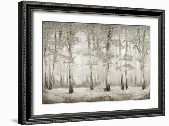 Misty Woodland Glow-Michael Marcon-Framed Art Print