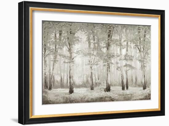 Misty Woodland Glow-Michael Marcon-Framed Art Print