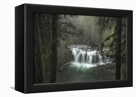 Misty-Danny Head-Framed Premier Image Canvas