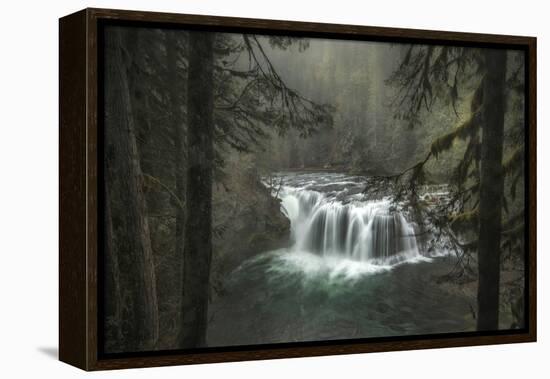 Misty-Danny Head-Framed Premier Image Canvas