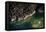 Misurinasee in the Dolomites with Cortina in Autumn, Aerial Shots, Italy-Frank Fleischmann-Framed Premier Image Canvas