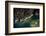 Misurinasee in the Dolomites with Cortina in Autumn, Aerial Shots, Italy-Frank Fleischmann-Framed Photographic Print