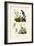 Mites, 1833-39-null-Framed Giclee Print