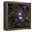 Mitosis, Fluorescence Micrograph-Science Photo Library-Framed Premier Image Canvas