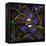 Mitosis, Fluorescence Micrograph-Science Photo Library-Framed Premier Image Canvas
