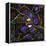 Mitosis, Fluorescence Micrograph-Science Photo Library-Framed Premier Image Canvas