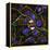 Mitosis, Fluorescence Micrograph-Science Photo Library-Framed Premier Image Canvas