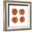 Mitosis One-Jan Weiss-Framed Art Print