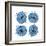 Mitosis Three-Jan Weiss-Framed Art Print