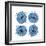 Mitosis Three-Jan Weiss-Framed Art Print