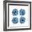 Mitosis Three-Jan Weiss-Framed Art Print