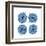 Mitosis Three-Jan Weiss-Framed Art Print