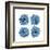 Mitosis Three-Jan Weiss-Framed Art Print