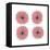 Mitosis Two-Jan Weiss-Framed Stretched Canvas
