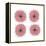 Mitosis Two-Jan Weiss-Framed Stretched Canvas