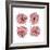 Mitosis Two-Jan Weiss-Framed Art Print