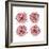 Mitosis Two-Jan Weiss-Framed Art Print