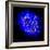 Mitosis-Dr. Paul Andrews-Framed Premium Photographic Print