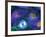 Mitosis-Dr. Torsten Wittmann-Framed Photographic Print