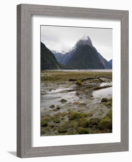 Mitre Peak, Estuary and Bay from Milford Sound; Fiordland National Park, New Zealand-Timothy Mulholland-Framed Photographic Print