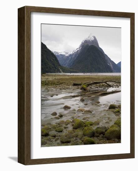 Mitre Peak, Estuary and Bay from Milford Sound; Fiordland National Park, New Zealand-Timothy Mulholland-Framed Photographic Print