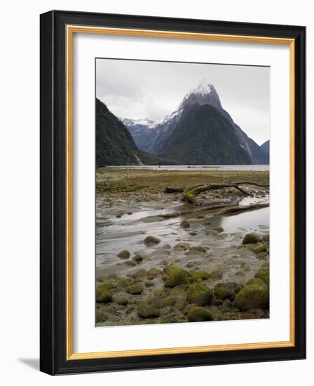 Mitre Peak, Estuary and Bay from Milford Sound; Fiordland National Park, New Zealand-Timothy Mulholland-Framed Photographic Print