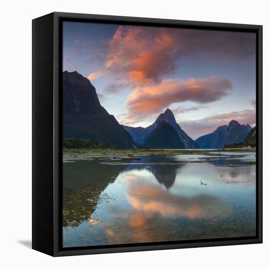 Mitre Peak, Milford Sound, Fiordland National Park, South Island, New Zealand-Doug Pearson-Framed Premier Image Canvas