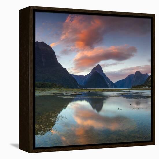 Mitre Peak, Milford Sound, Fiordland National Park, South Island, New Zealand-Doug Pearson-Framed Premier Image Canvas