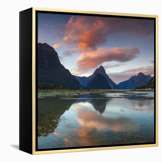 Mitre Peak, Milford Sound, Fiordland National Park, South Island, New Zealand-Doug Pearson-Framed Premier Image Canvas