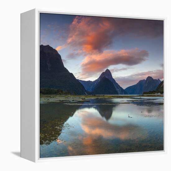 Mitre Peak, Milford Sound, Fiordland National Park, South Island, New Zealand-Doug Pearson-Framed Premier Image Canvas