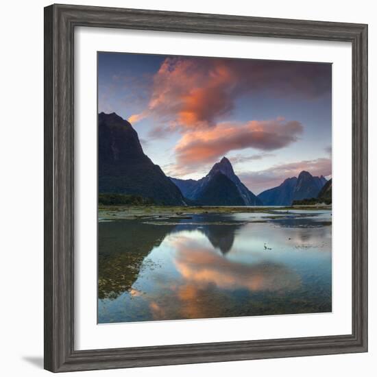 Mitre Peak, Milford Sound, Fiordland National Park, South Island, New Zealand-Doug Pearson-Framed Photographic Print