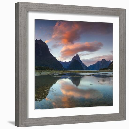 Mitre Peak, Milford Sound, Fiordland National Park, South Island, New Zealand-Doug Pearson-Framed Photographic Print