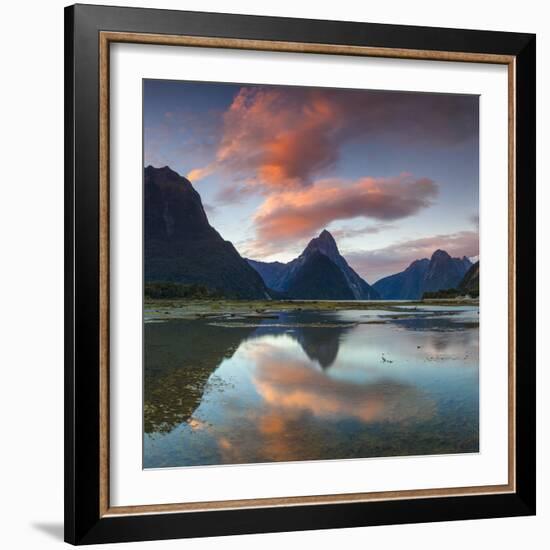 Mitre Peak, Milford Sound, Fiordland National Park, South Island, New Zealand-Doug Pearson-Framed Photographic Print