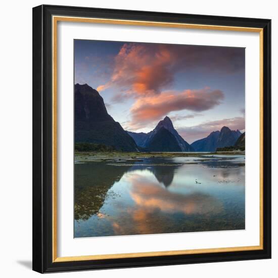 Mitre Peak, Milford Sound, Fiordland National Park, South Island, New Zealand-Doug Pearson-Framed Photographic Print