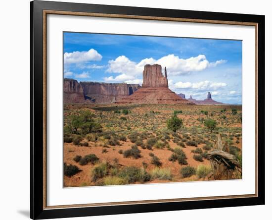 Mitten and Buttes at Mid-Day Navajo Tribal Park, Monument Valley, Arizona, USA-Bernard Friel-Framed Photographic Print