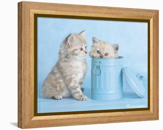 Mitzy & Lizzy-Rachael Hale-Framed Stretched Canvas